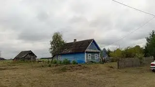 Новые соседи. Движуха