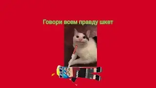 Блокмен го гарена смотрим не до разоблачение мотика