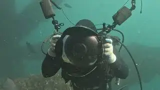 Santa Barbara Oil Platform Diving