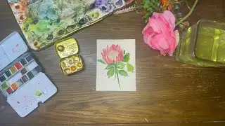 Beginner Friendly Protea