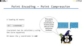 EC Point Encoding