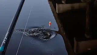 Reclamation Fishing