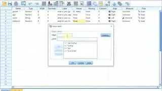 S01E04-1-2a SPSS Basics - Entering simple questions