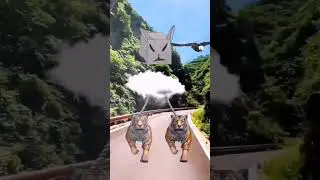 Тгк= Подвал Мемного Кота😘 // чо 