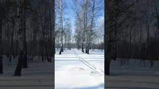 Природа .Зима. Красиво .