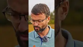 Протеин в сое 