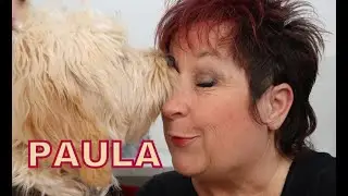 Goldendoodle Puppy Paula 16 bis 24 Wochen,  Teil 1