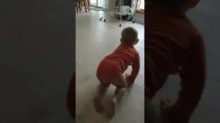 Утренние догонялки.