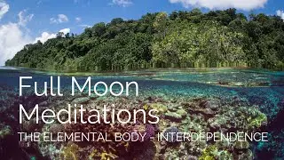 Full Moon Meditation - Interdependence, February 2024