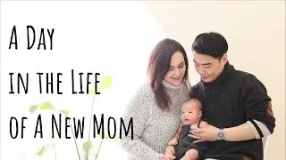 A Day in the Life of a New Mom [국제가족/국제커플] 초보 캐나다 엄마의 하루