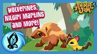 New Item Bundle, Animals & More! | Animal Jam August Update