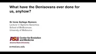 What have the Denisovans ever done for us, anyhow? - Irene Gallego Romero - CEMinar