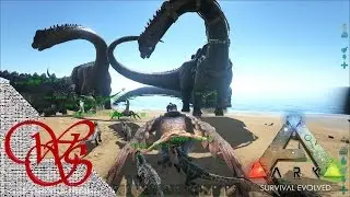 Quickie 07 - Ark - Home Defense