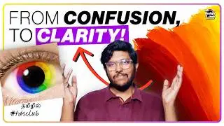 The Must-Know Colour Theory Basics, Designers Need Clarity! | #ui #uidesign