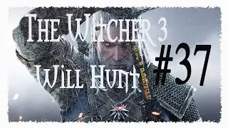 🔴 The Witcher 3 Wild Hunt ПРОХОЖДЕНИЕ #37 СОЛНЕЧНЫЙ КАМЕНЬ