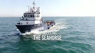 The Seahorse Has Arrived in Operation Milagro