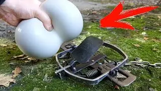 QUE PASARIA AL METER FLUIDO NO NEWTONIANO EN UNA TRAMPA PARA OSOS?