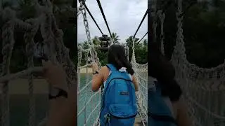 THE HANGING BRIDGE, TOUR AT SINGAPORE.
