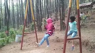 maen di hutan pinus