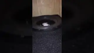 Мачете м12 хороший басс у вас дома)