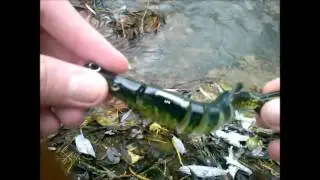 Посылка из Китая(щука)
