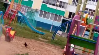 Голубь полная жо--
