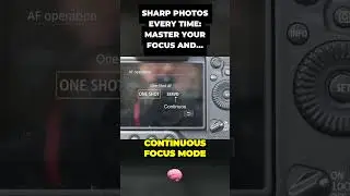 Unlocking the Secret to Razor Sharp Photos You Never Knew Existed