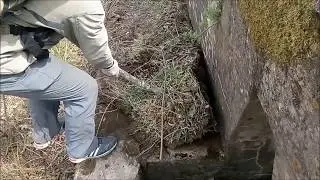 Очистительные эксперименты