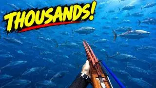 I Found The BIGGEST School Of Tuna Spearfishing!