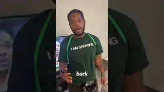 Should I get a bark collar?