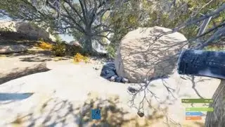 Console Rust Has 