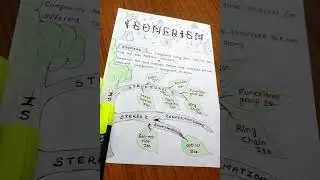 Isomerism (Isomers) of Organic Chemistry Handwritten Notes 📚 #shorts Class 12 | JEE | NEET | #neet