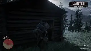 Red Read Redemption Bear Cabin In The Woods