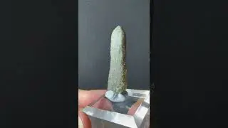 Празем;