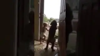 Когда ждут дома