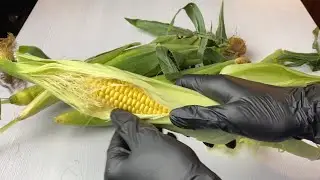 Кукуруза. Вкусная молодая кукуруза. Как почистить и сварить кукурузу правильно
