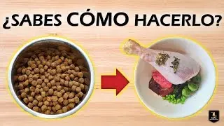 ✔️ Cómo EMPEZAR la DIETA BARF | Dieta EVOLUTIVA 🍗