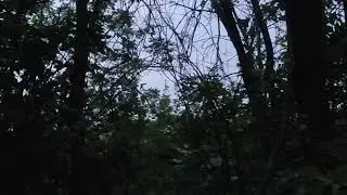 Коптер завис над нами.