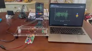 自製壓克力 AS-1 地震儀 - P型震波圖 ESP8266