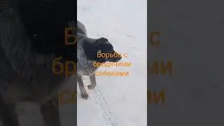10 февраля 2023 г.