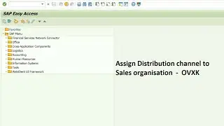 Assign distribution channel to sales organization in SAP SD  -  SAP MM || Step 6