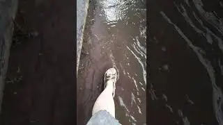 вот это поворот  (дождь)