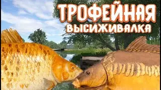 РР4 / ТРОФЕЙНАЯ высиживалка / оз. Янтарное