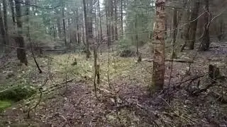 2  день  активного  отдыха   поиск  ......
