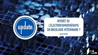 UPDATE - Intérêt de l'électrochimiothérapie en oncologie vétérinaire ?