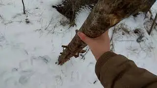 спортивные снаряды в лесу