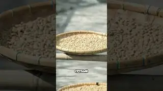 Кофе с обработкой ВЕТ-ХАЛЛ🤔☕️