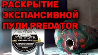 Раскрытие пневматической экспансивной пули для охоты PREDATOR METALMAG 5,5 мм 1,1 гр