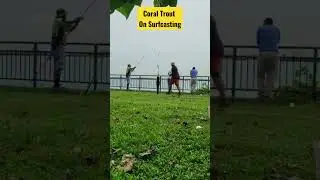 Coral trout on surf at Marina South Pier - Credits to Abg Ibrahim