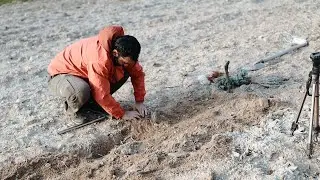 We planted the first trees of our field - Preparations for Rural Life